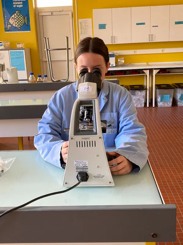 Laboratoire bac pro quimper