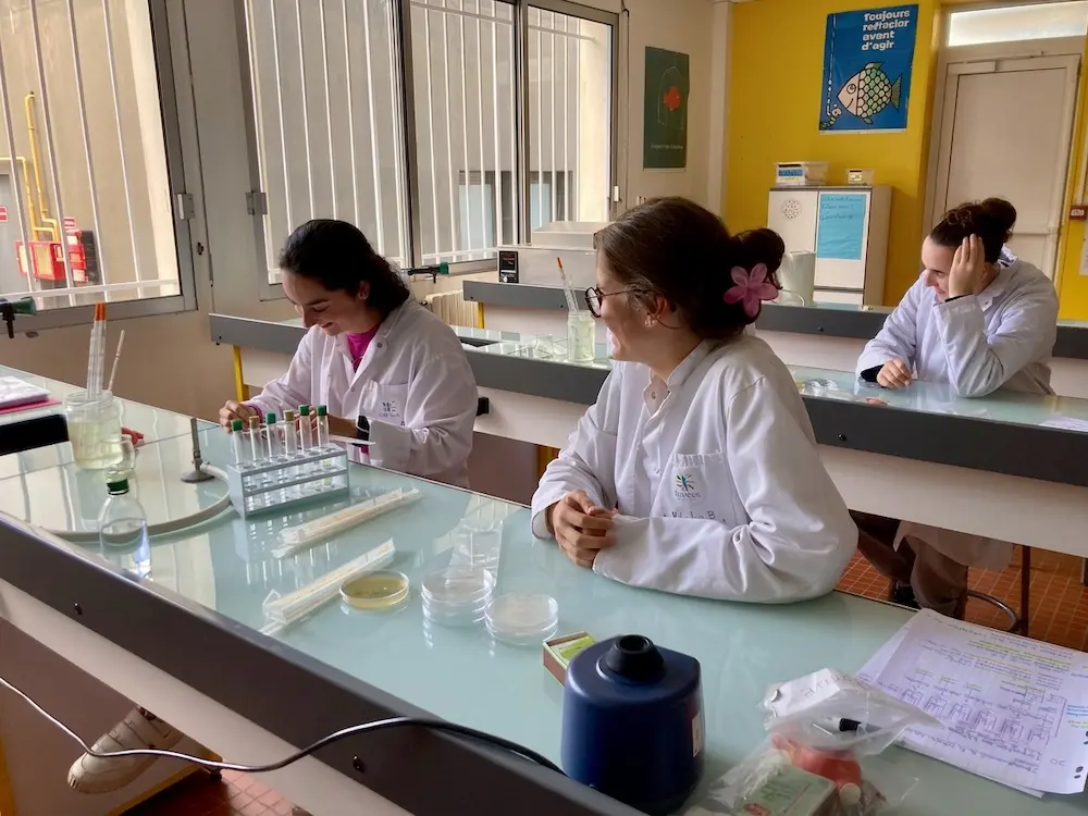 Bac pro lcq quimper