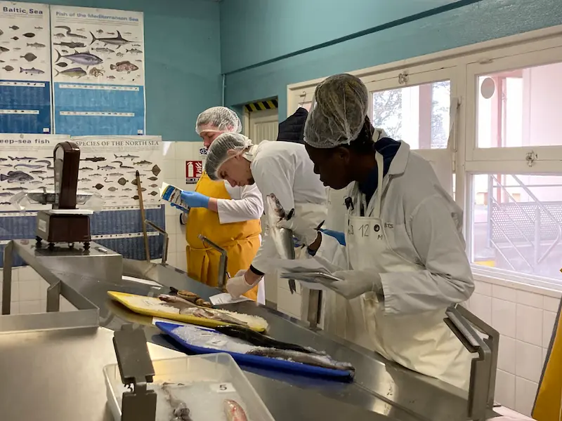 BTS quimper pratique secteur alimentaire