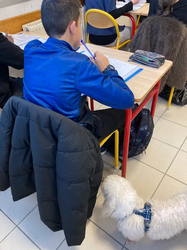 3eme projet professionnel collège kerustum